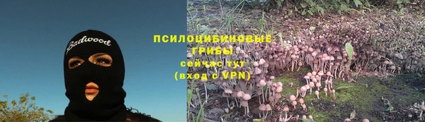 PSILOCYBIN Верхнеуральск